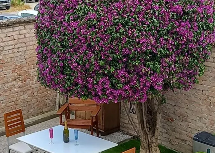 Casa vacanze Villino La Bouganville *